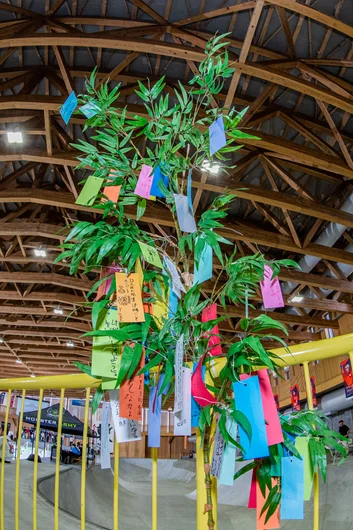 There were notes from skaters that were hung up in these trees inside of the park. I can't read Japanese, but I love to think they were all nice notes 


<!--damnamjapan2023womensqualifiers-->