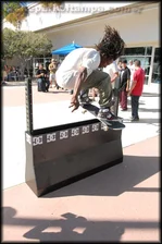 Sauce Makes Skate Bi