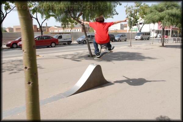 Barcelona Shark Fins