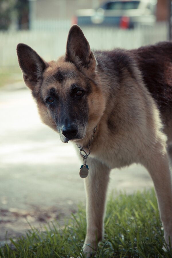 The KR3W Crew Cruises 2014