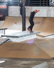 Micky Papa brought t