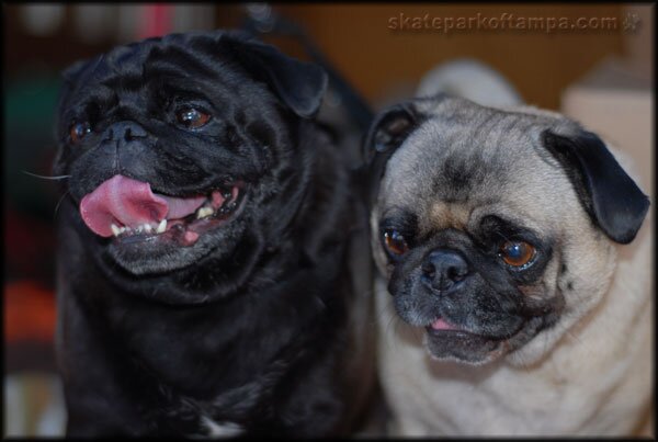 Chubs and Lebowski