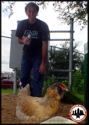 Mike Derewenko Tallahasse Skatepark Chicken