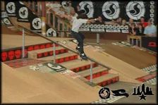 Tampa Am 2006 Skate 