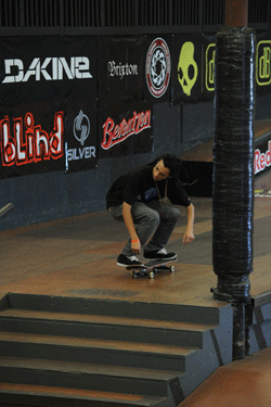 Nyjah Huston - kickflip backside noseblunt