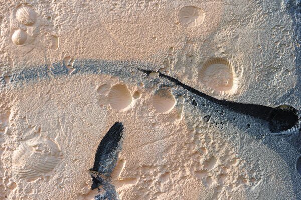 A close up of the brushwork: Sebastian Coolidge