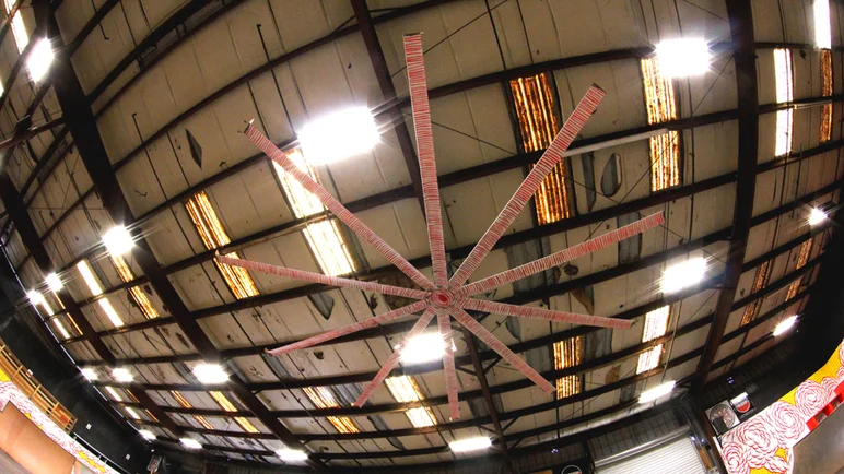 <!--schoultzpaint-->




