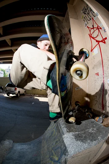 <!--spottoa15-->

Little Wes is from Florida, so I'm gonna call this a Florida plant.
