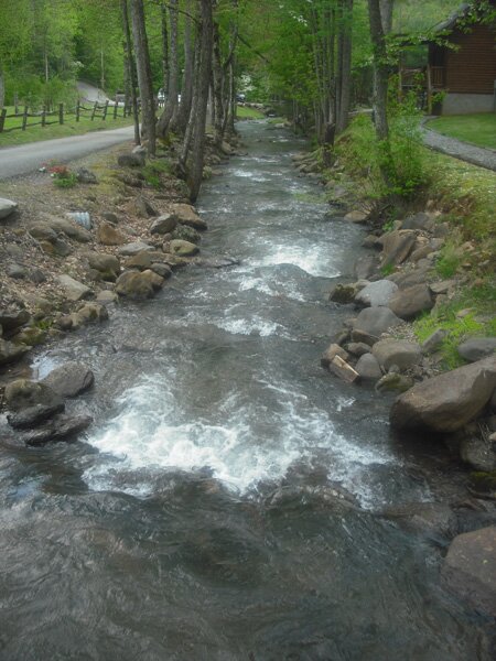 Down the road from our cabin ran this little creek