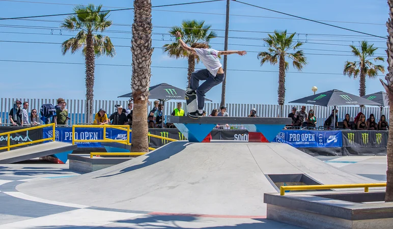 <!--17proopen-arcturo-->

Axel	Cruysberghs - frontside	noseblunt. 