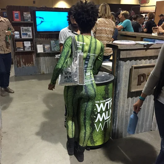 <!--agenda15-->

The Watermelon Water girl. 

