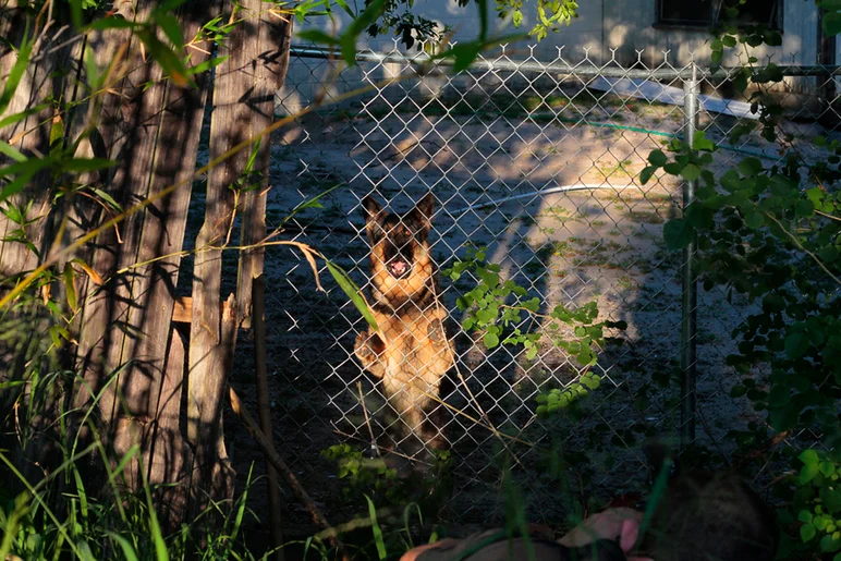<!--conshaines-->

The guardian of Spook Hill.