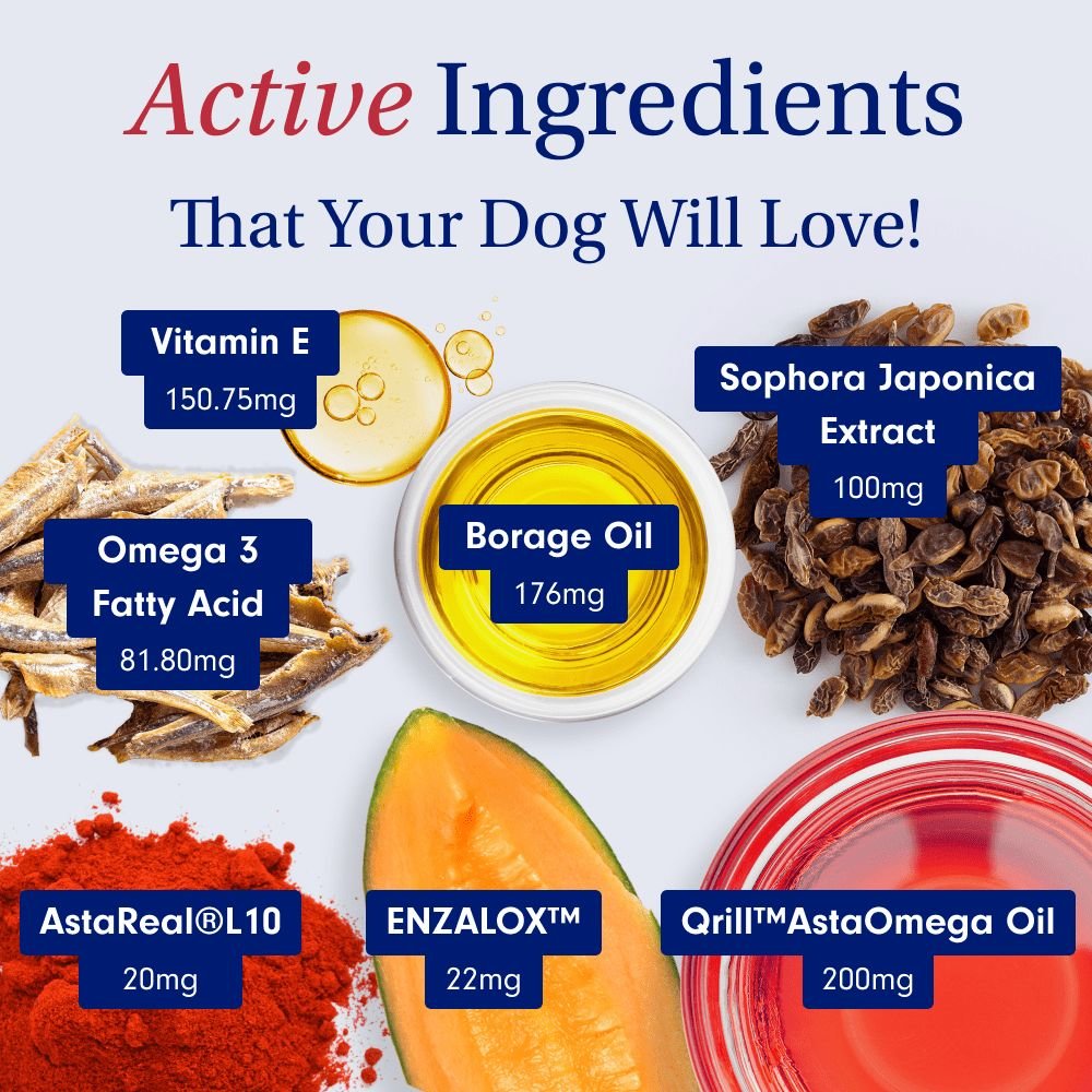 active ingredients