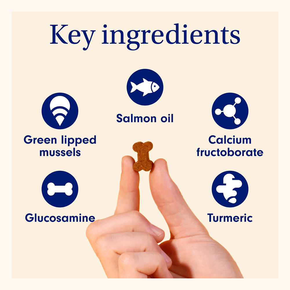 key ingredients