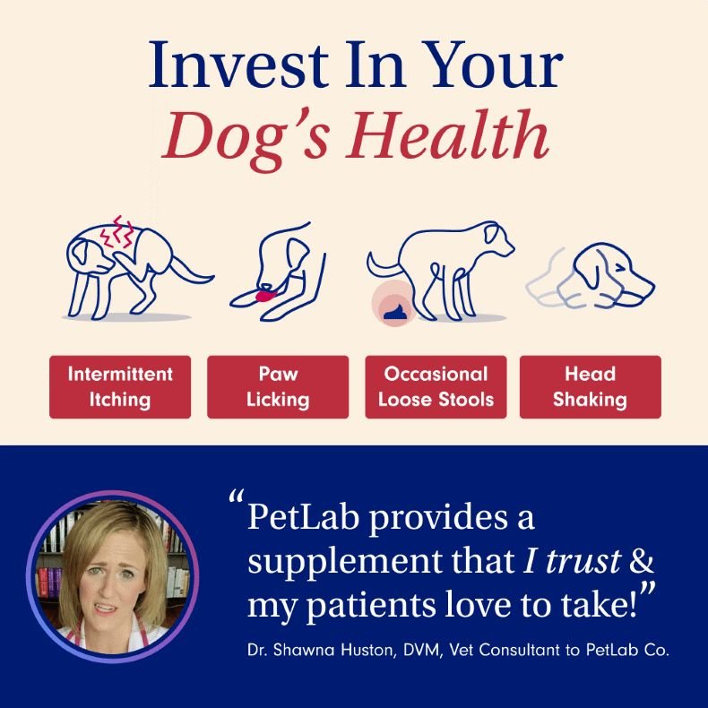 dog's health