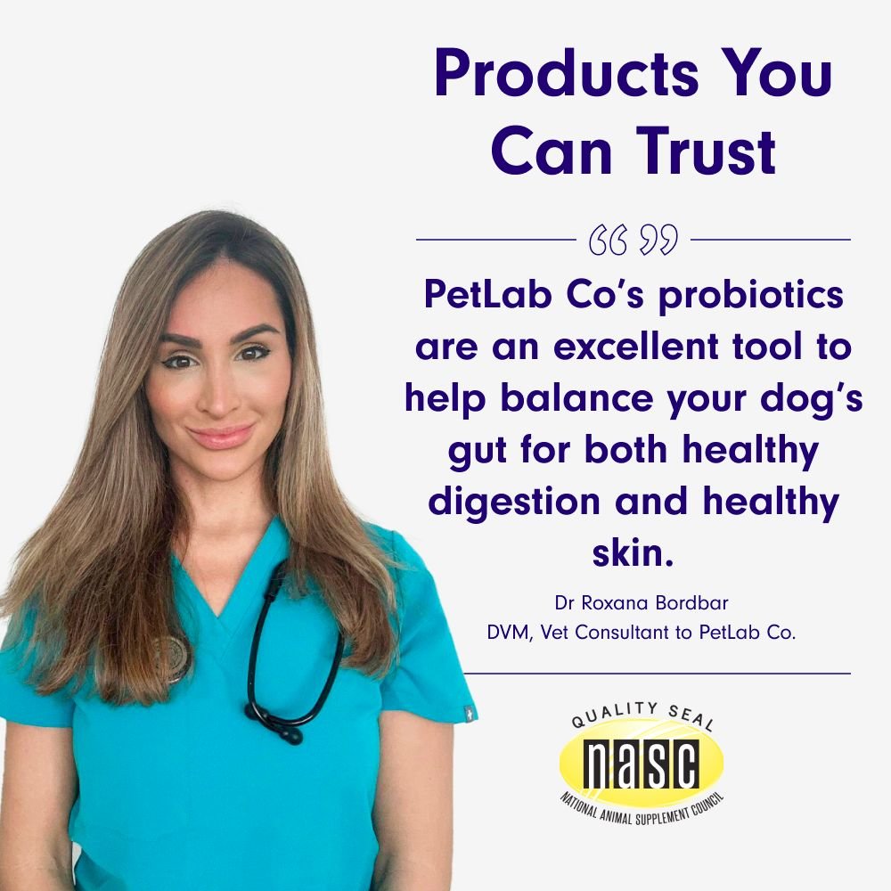 Vet quote