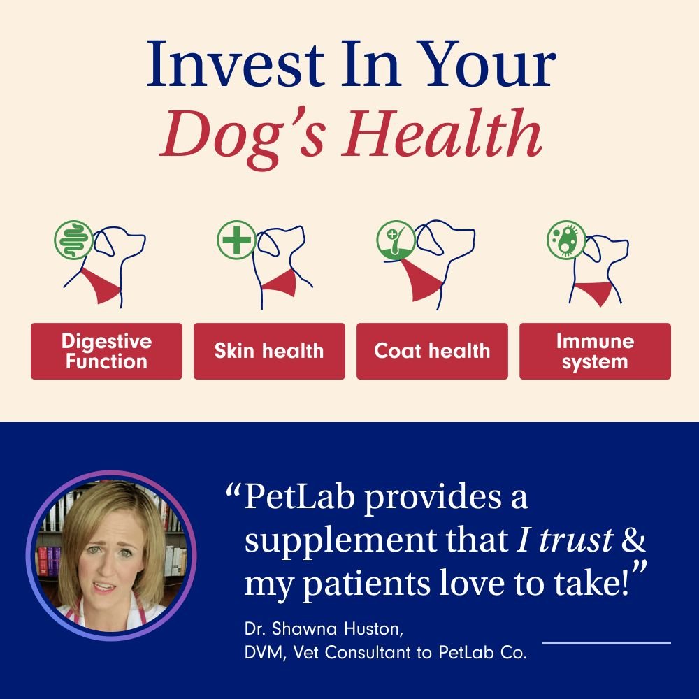 dogs_health