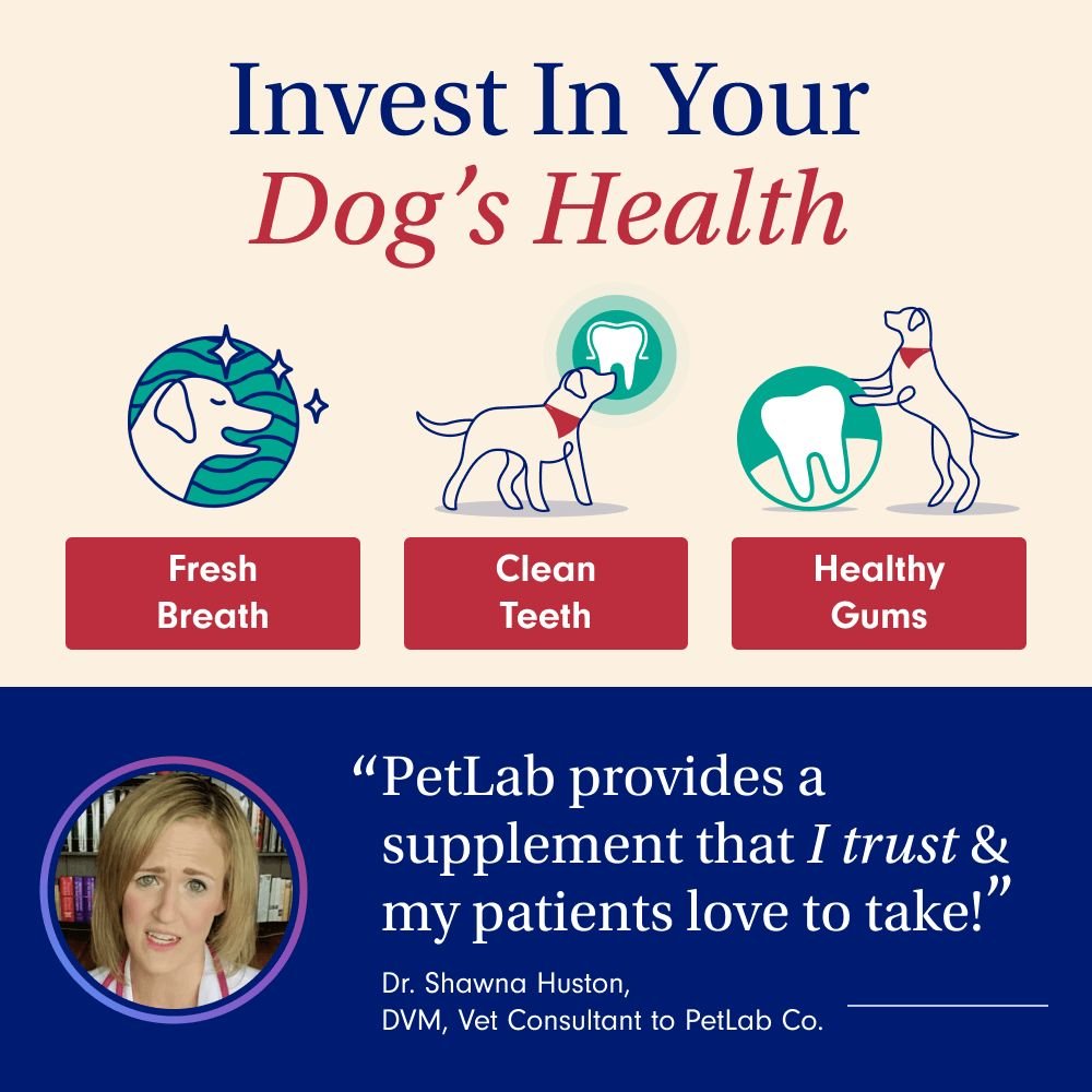dogs health