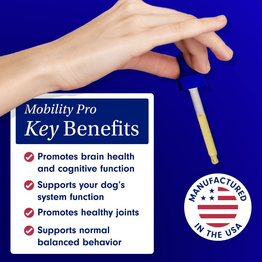 key benefits 2