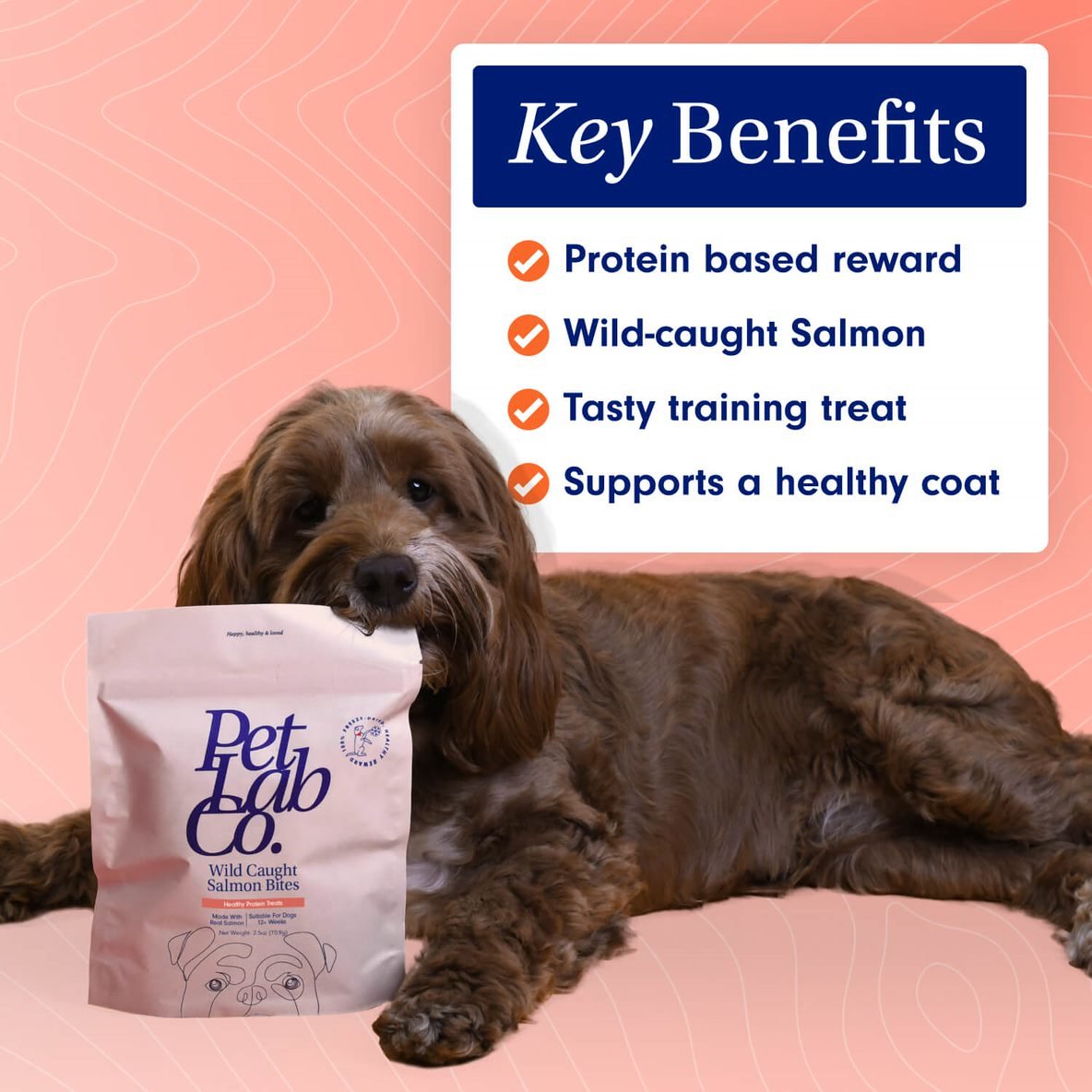 key benefits