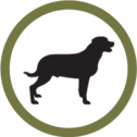 Icon - dog