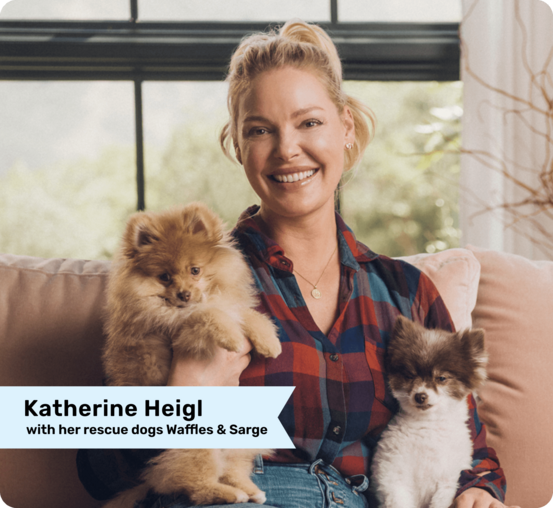Image of Katherine Heigl with her dogs