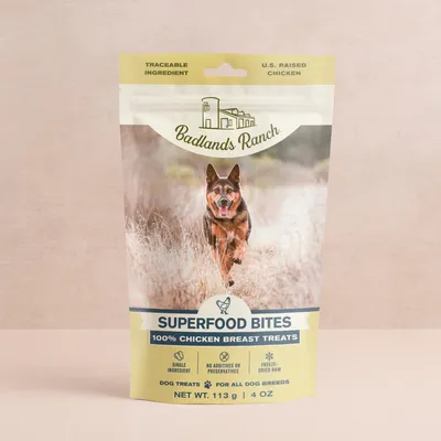 Superfood Bites