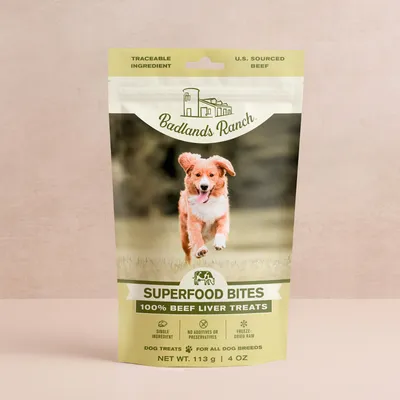Superfood Bites