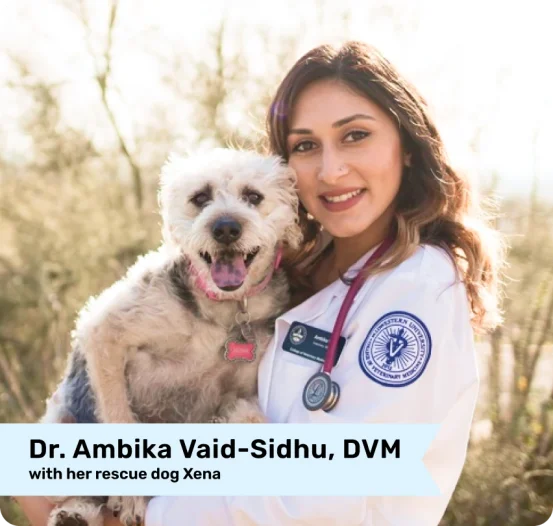 Image of Dr. Ambika Vaid-Sidhu, DVM