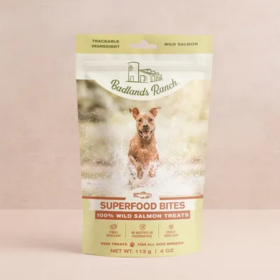 Superfood Bites