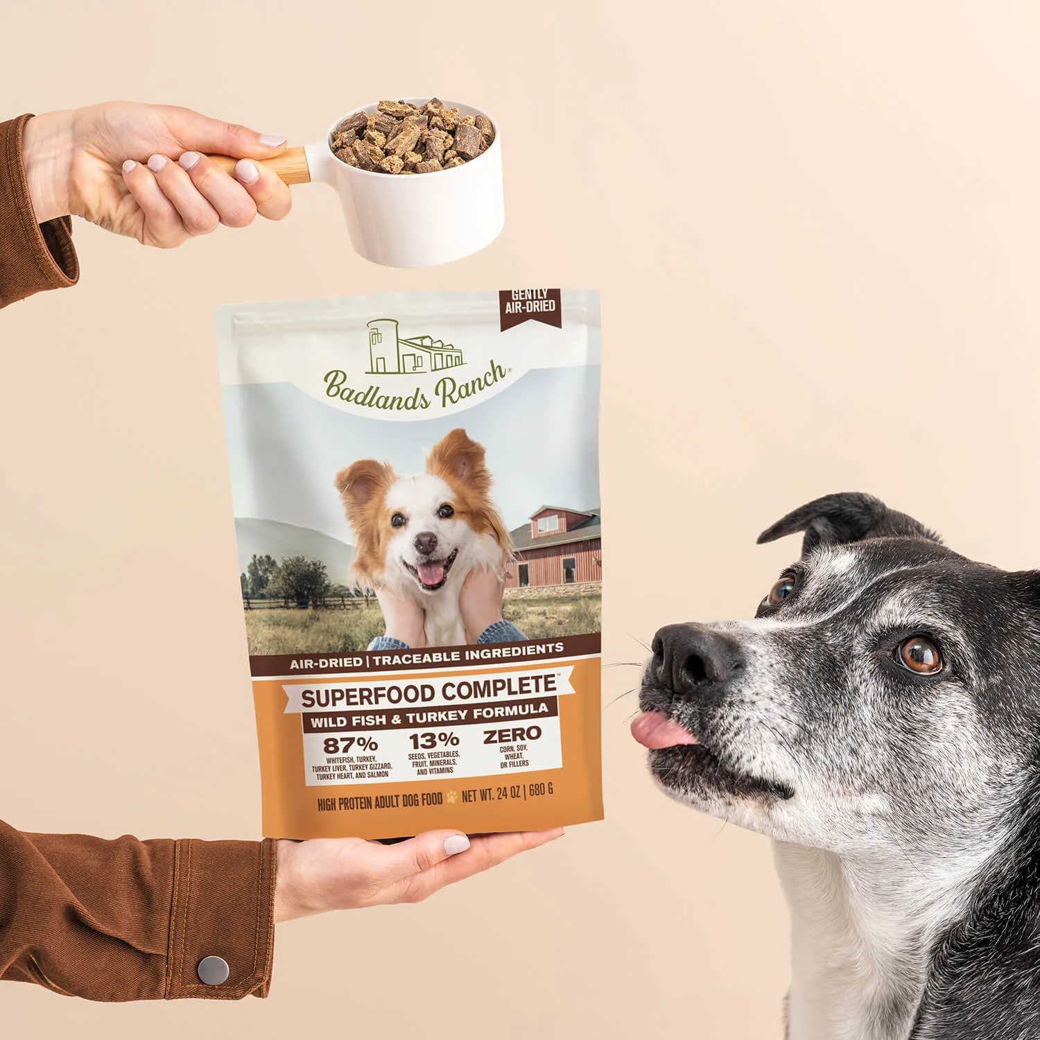 Image of Superfood Complete Wild Fish & Turkey