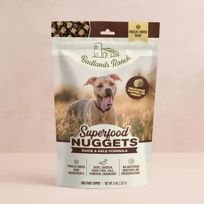 Superfood Nuggets