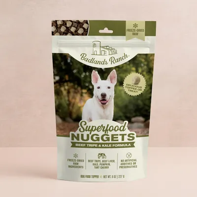 Superfood Nuggets
