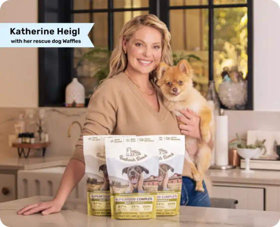 Katherine Heigl with her rescue dog Waffles