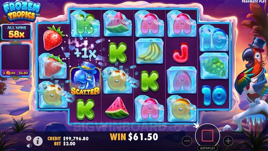 Frozen Tropics placeholder