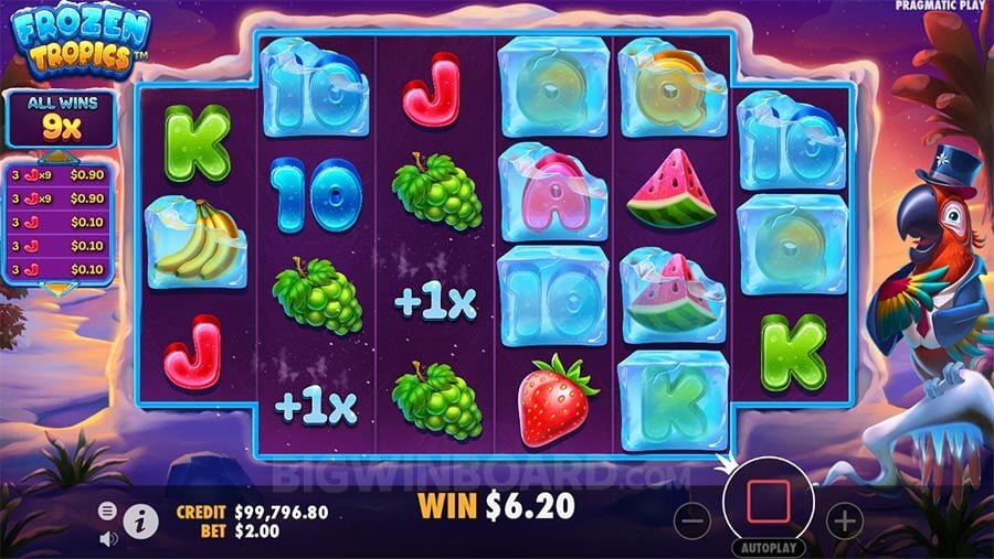 Frozen Tropics placeholder