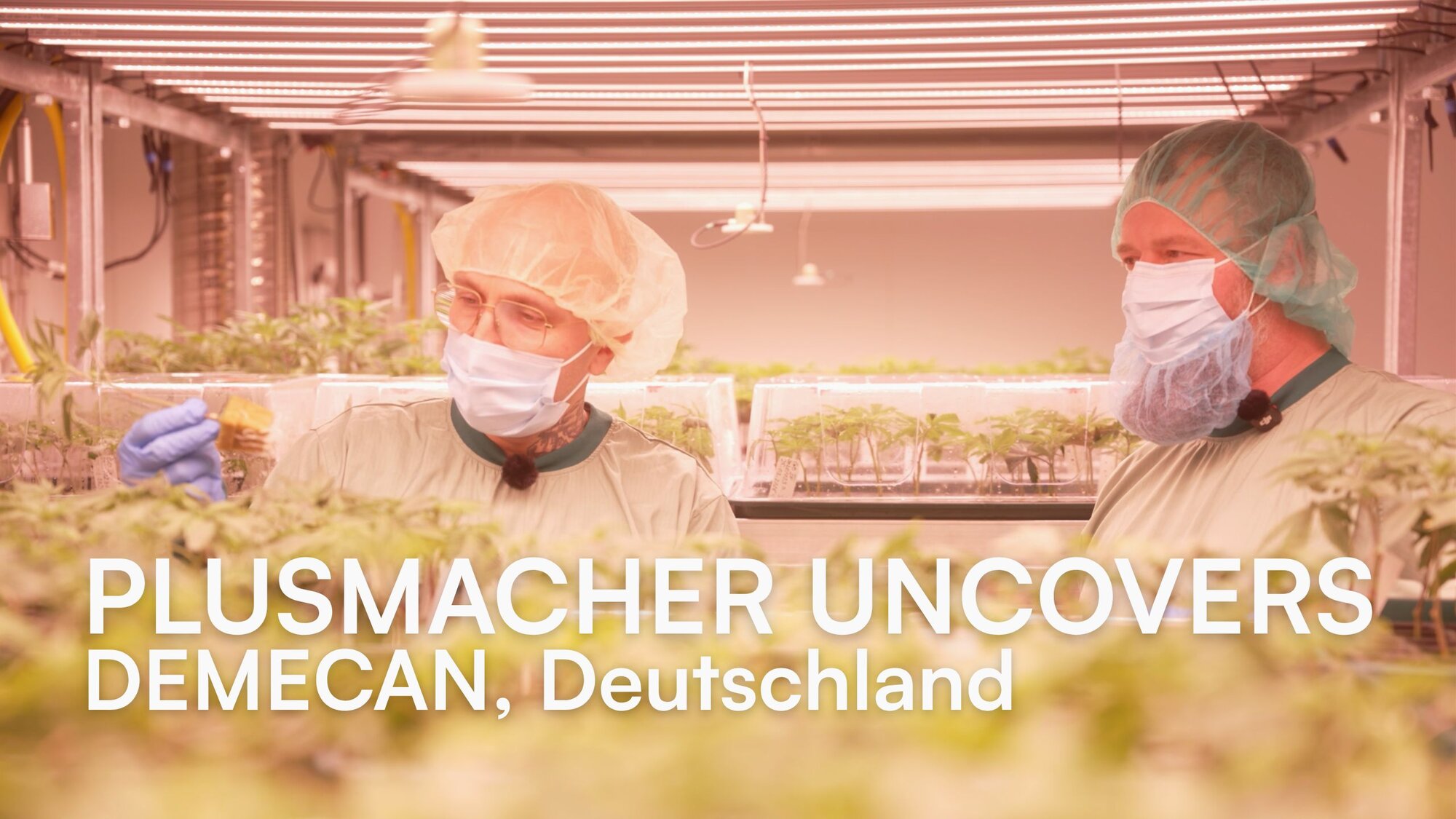 Plusmacher UNCOVERS: DEMECAN