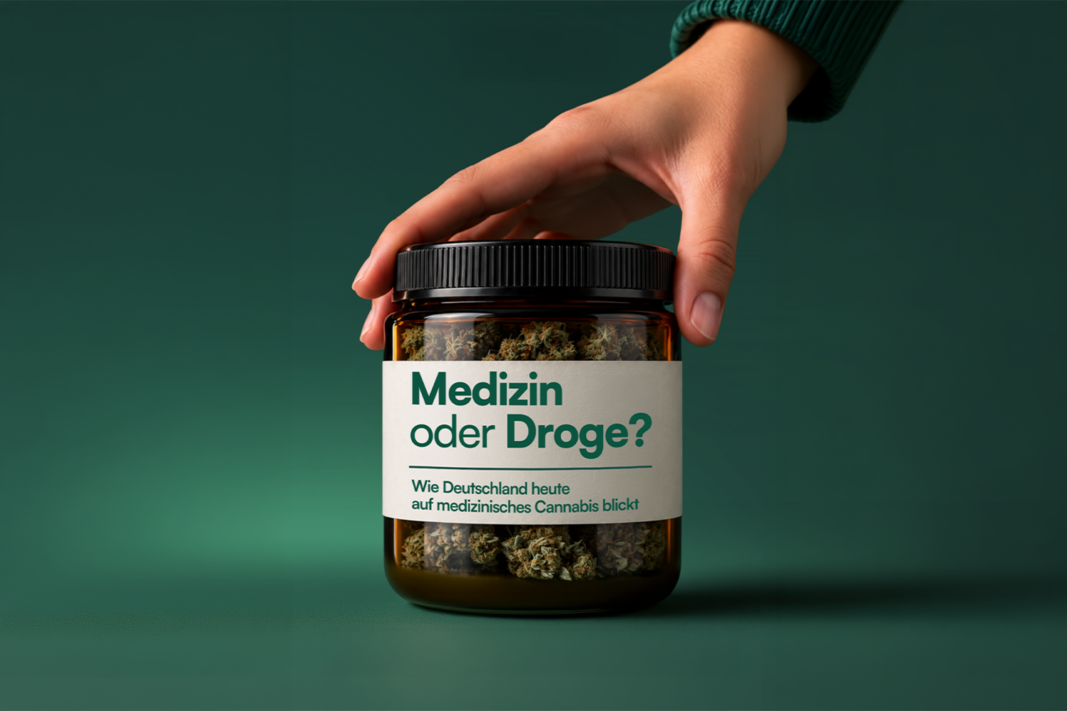 DrAnsay Cannabis-Kompass: Wie Deutschland wirklich über medizinisches Cannabis denkt