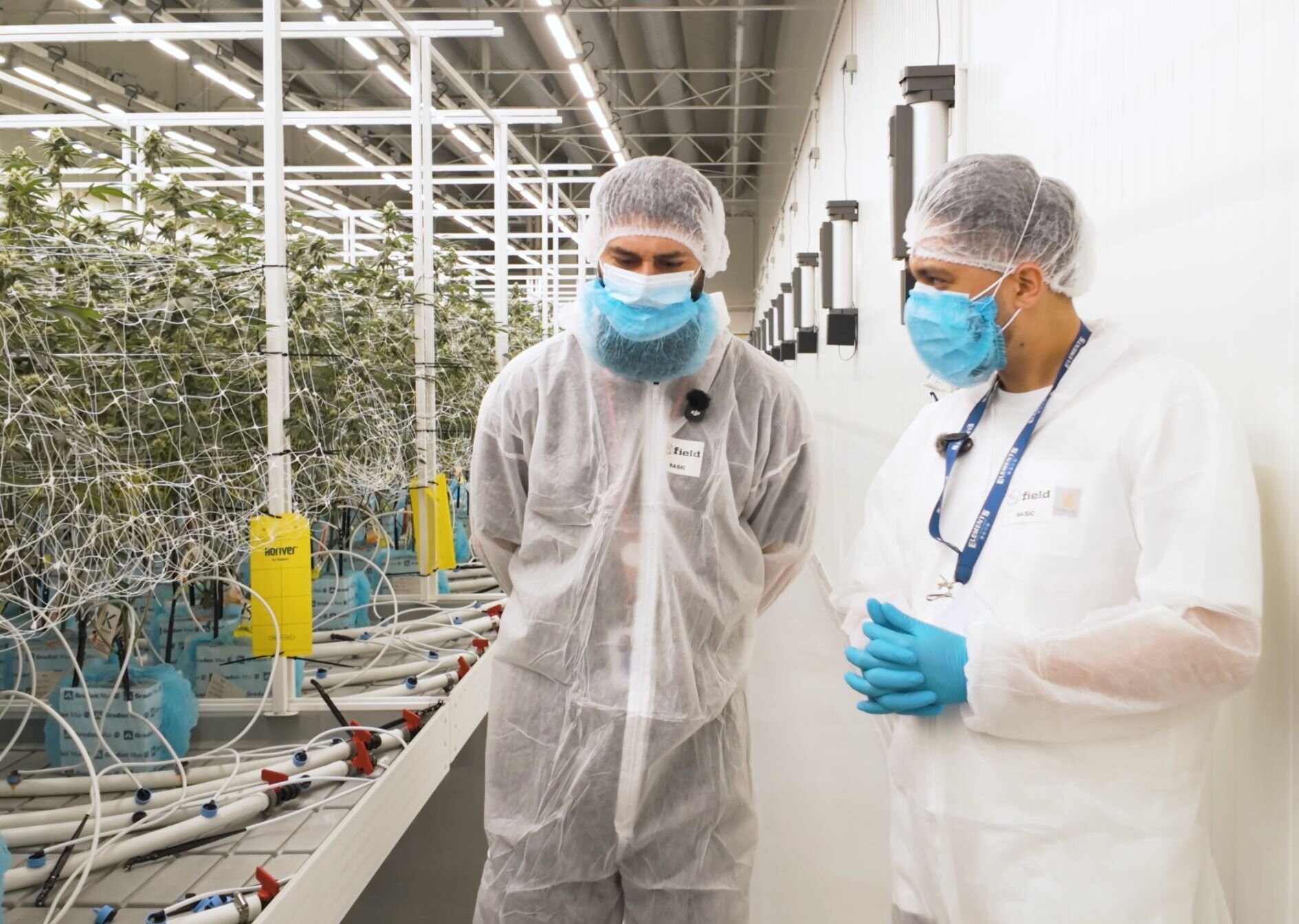 Highwan UNCOVERS: Bathera