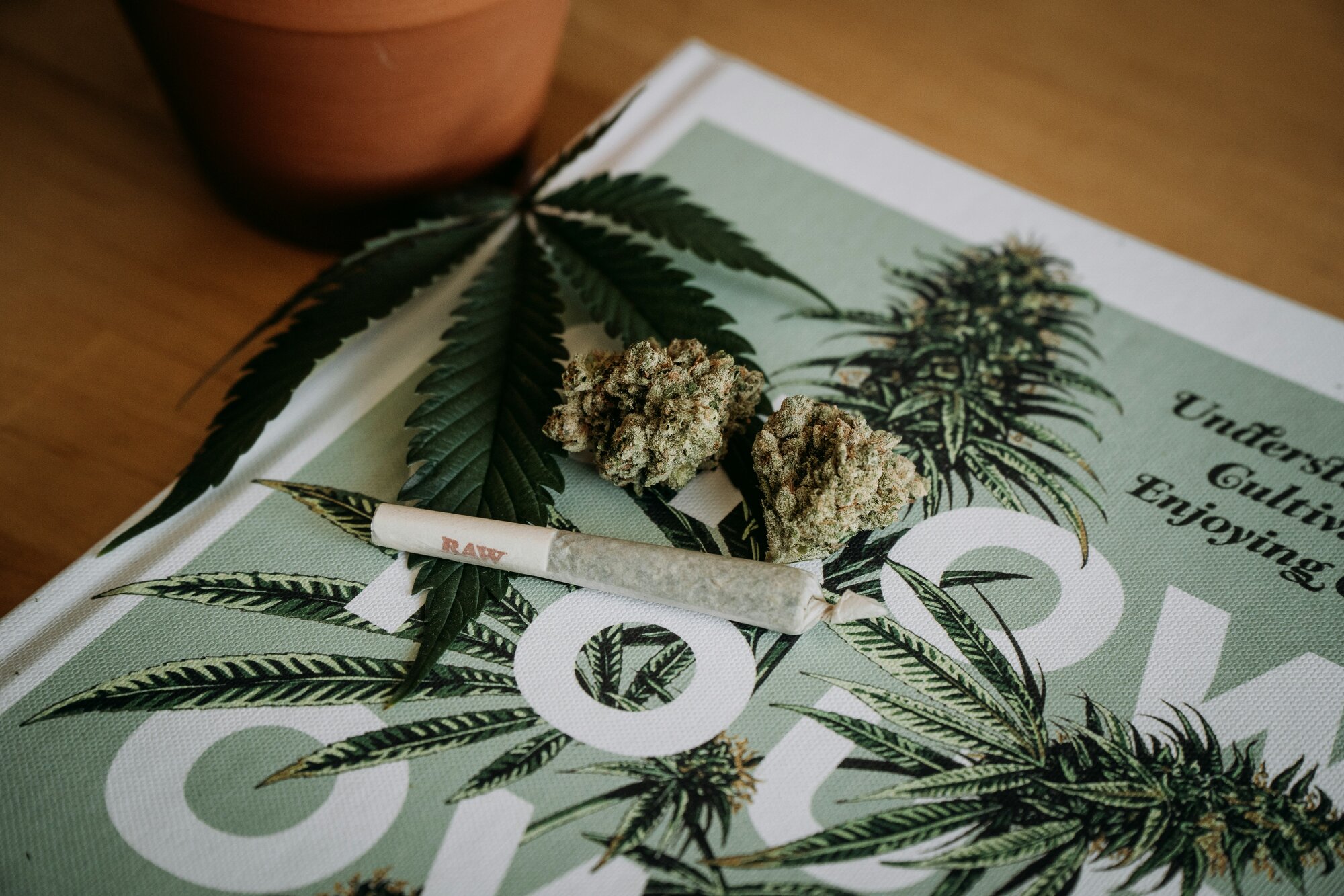 Cannabis-Wirkung: Was du wirklich über THC, High & Co. wissen musst