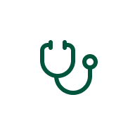 Custom icon
