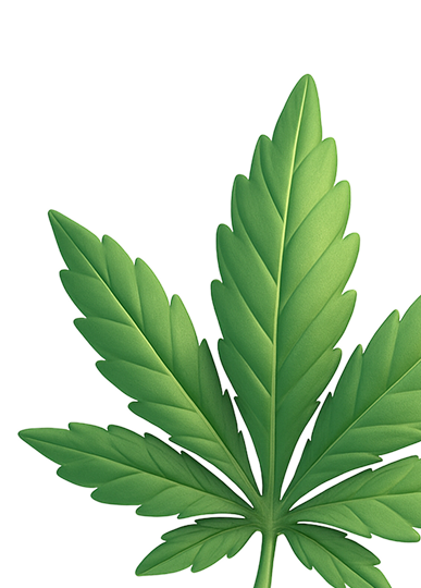 Medizinisches Cannabis