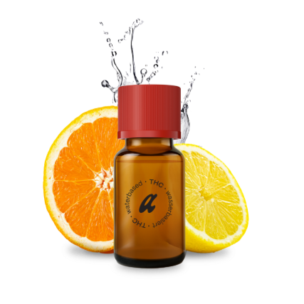 Zrzut ekranu 2025-11-5 o 10.36.55 1