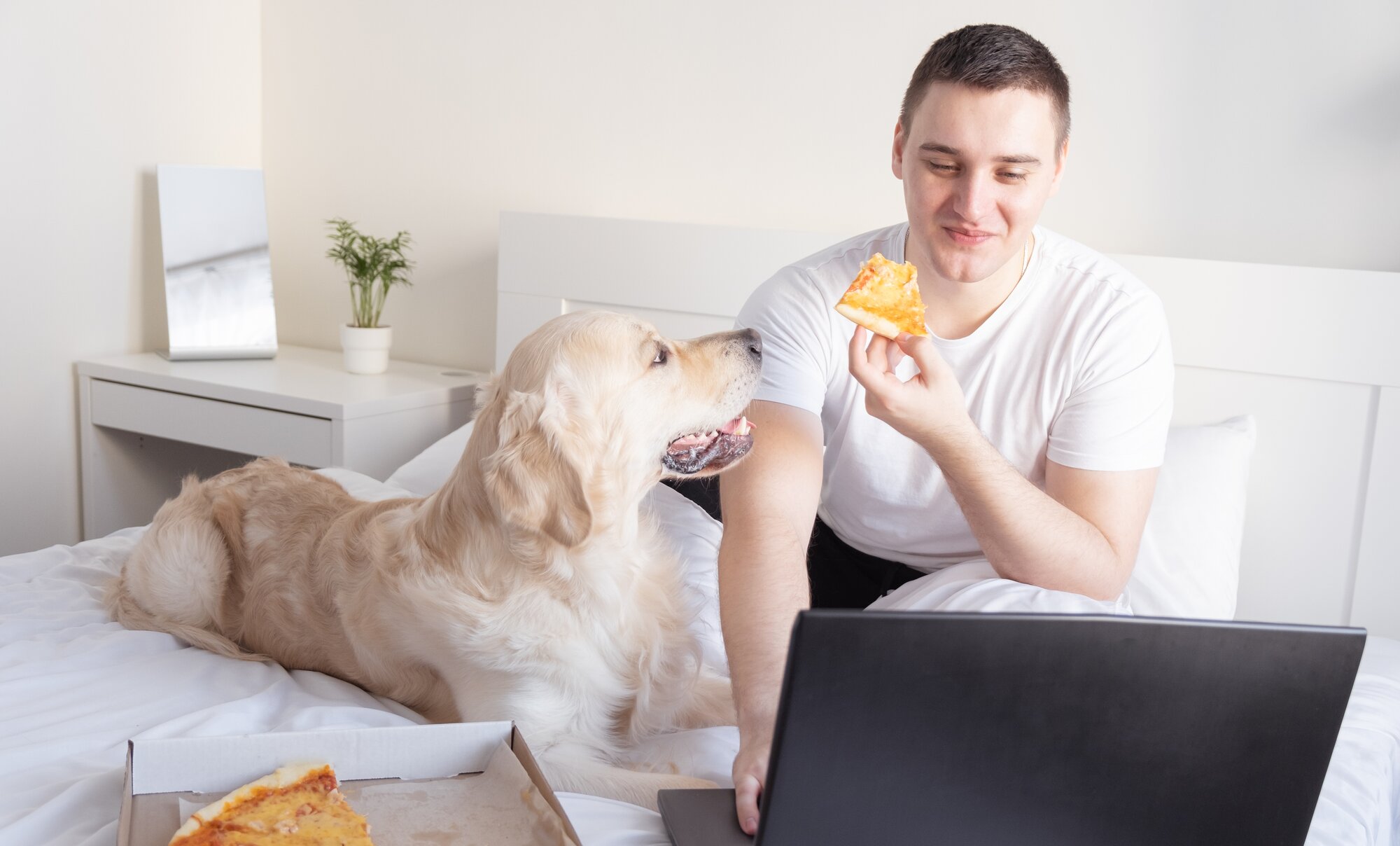 Healthcare professionals