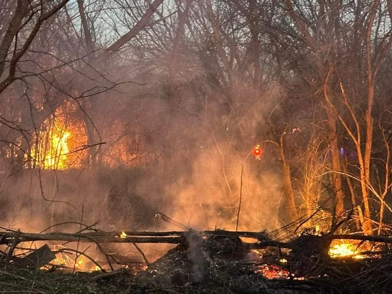 Fire burning fallen limbs and brush in woods
