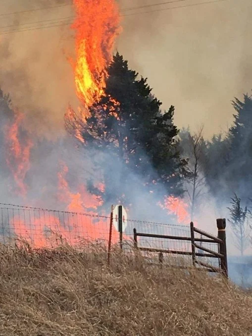 Fire burning a tree beside a wire fence and wooden gate on rural property