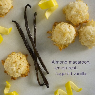 Toasted Sugar Scent Booster