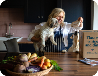 Dog waiting for food
