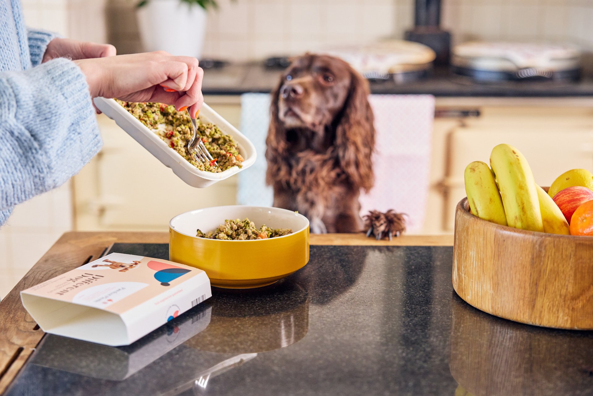 Why Should You Feed Your Puppy Fresh Dog Food?