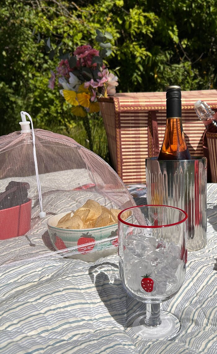 Picnic på et tæppe med chips og frugt beskyttet under et lyserødt fluenet. 